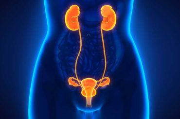 zapal mocovych ciest